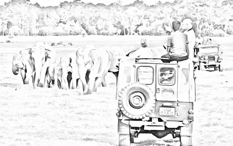 jeep-safari-minneriya